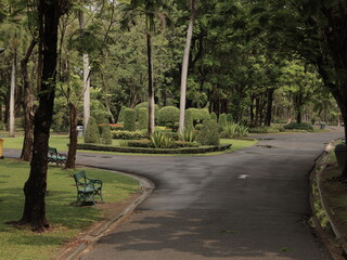 A Beautiful Scenic Park Pathway That is Surrounded by Luxurious Lush Greenery and Plants