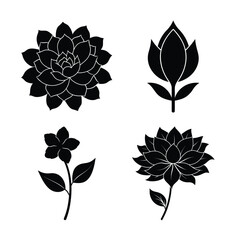 Succulent flower icons collection for modern botanical design