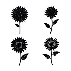 Sunflower icons collection for floral and botanical design