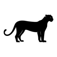Silhouette of a sleek black panther standing calmly on a white background