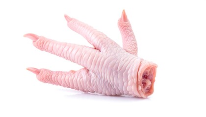 Close-up Shot of a Raw Chicken Foot Isolated on a White Background