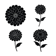 Zinnia flower icons collection for floral and botanical design
