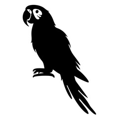Silhouette of a parrot perched on a branch against a white background