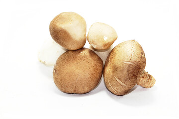 Fresh brown mushrooms isolated on white background for healthy vegetarian meal