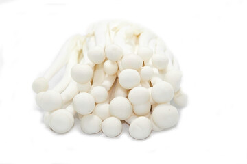 Fresh organic mushrooms and hazelnuts on a white background