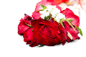 Fresh flower garlands made from red rose and jasmine flowers for use in ceremonies in Thailand such as Buddhist rituals and auspicious events.
