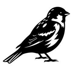 Silhouette of a small bird standing on the ground, artistic interpretation