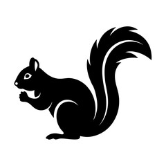 Black Squirrel Profile with Bushy Tail Eating, Isolated on White Background