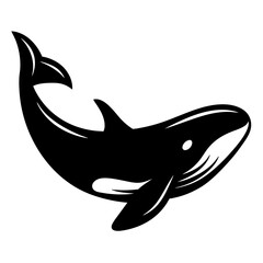 Elegant black and white killer whale or orca vector graphics design