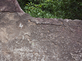 Stone texture in the forest, vintage style image