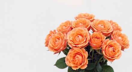Naklejka premium Bouquet of orange roses arranged on white background. Place for the text