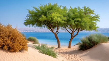 Desert oasis trees growing by blue sea