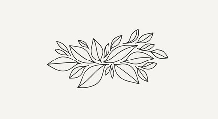 white flower on black background