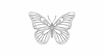 A illustration of vector logo with simple color 