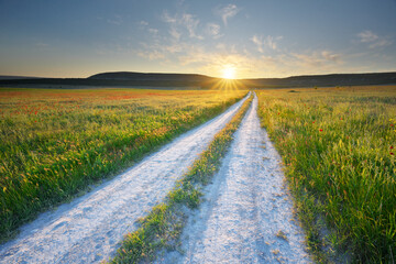 Road lane and green meadow during the sunset.