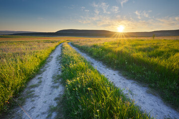 Road lane and green meadow during the sunset.