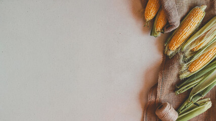 Fresh corn on the cob with burlap and twine on a neutral surface.