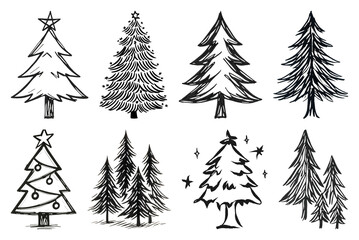 Obraz premium Hand-drawn evergreen tree illustrations.