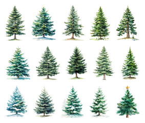 Obraz premium Watercolor evergreen trees collection.