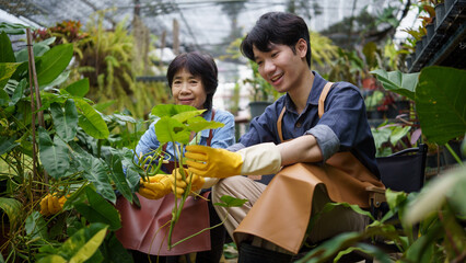 Obraz premium Family business owners working together in a plant nursery, smiling while taking care of potted plants. Concept of teamwork andentrepreneurship.