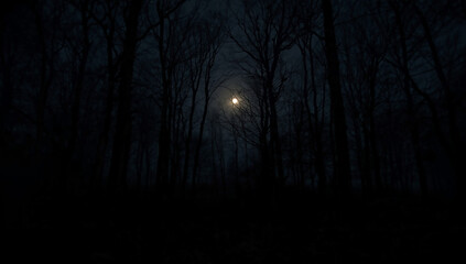 Dark Forest at Night with Full Moon and Bare Trees