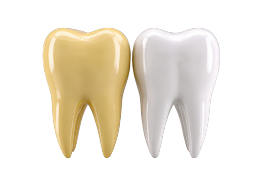Two teeth, one yellow, one white, side-by-side (1)