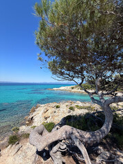 Rocky coastline with turquoise water and tree shade in Greece