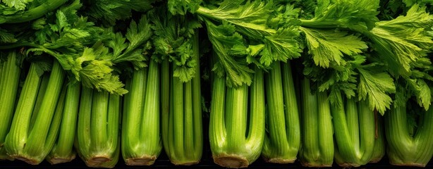 Fototapeta premium The Celery Stalks Fresh Green Produce for Crisp Healthful Culinary Prep