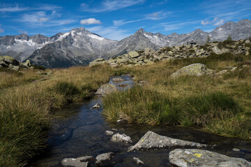 Hochmoor mit Aussicht im Ahrntal, Südtirol