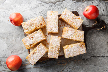 Delicious old fashioned applesauce cake with ginger and cinnamon close-up on wooden board on a table. Horizontal top view from above