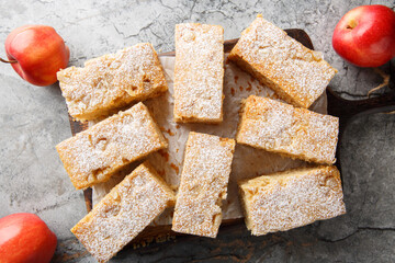 Autumn American Applesauce cake dusted with powdered sugar close-up on a wooden board on the table. Horizontal top view from above