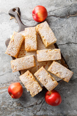 Fluffy sponge Applesauce cake with ginger sprinkled with powdered sugar close-up on a wooden board on the table. Vertical top view from above