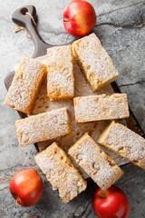 Applesauce cake with ginger sprinkled with powdered sugar close-up on a wooden board on the table. Vertical top view from above