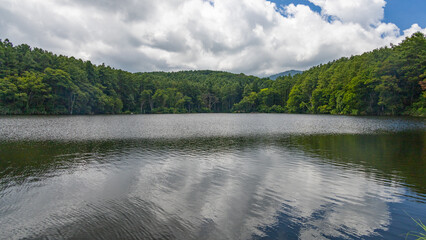 斑尾高原の夏　希望湖の風景　　長野県　日本