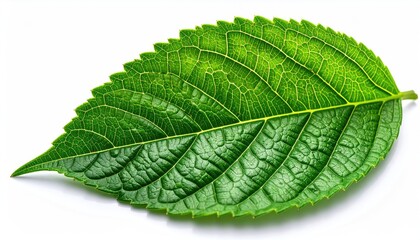 Obraz premium Close Up of Creamy White Cosmetic Lotion Texture with Glowing Cinematic HDR Beauty Photography for Skin Care Applications and Product Presentation