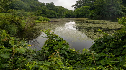 信州斑尾高原の夏　赤池のある風景　飯山市　長野県