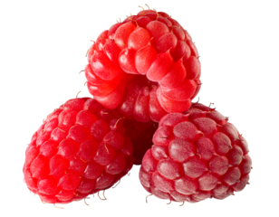Close-up macro image of three vibrant red raspberries for food packaging, healthy design and recipes. High-resolution photo Isolated on transparent background