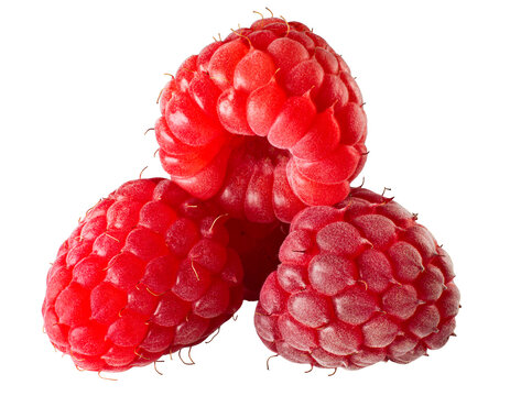 Close-up macro image of three vibrant red raspberries for food packaging, healthy design and recipes. High-resolution photo Isolated on transparent background
