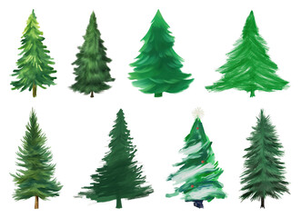 Obraz premium PNG Vibrant illustrated evergreen trees, element set on transparent background