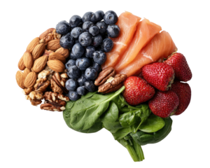 Brain-shaped food arrangement.  Healthy foods forming a brain silhouette