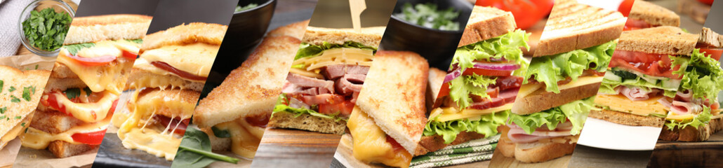 Tasty sandwiches with different fillings, collage. Banner design