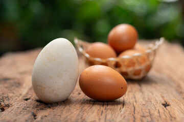 Eggs : nature’s perfect superfood. Packed with protein, vitamins, and minerals, they provide energy, support muscle growth, and nourish the body from morning to night. Pure, simple, and powerful.