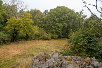 Basaltsäulen auf dem Bubenik( Großdehsaer Berg) in der Oberlausitz 2