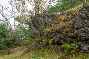Basaltsäulen auf dem Bubenik( Großdehsaer Berg) in der Oberlausitz 1