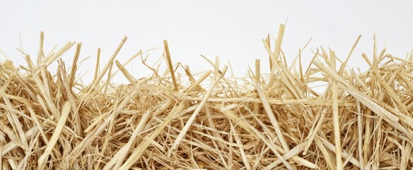 The Straw Pile Background Featuring Dry Hay Texture for Rustic Farm Concept