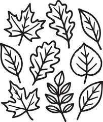 A collection of diverse hand-drawn leaves, each one unique in its shape, depicting the beauty of fall, perfect for various design uses.