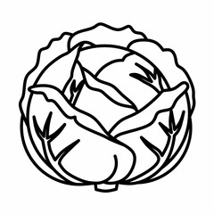 Cabbage icon, fresh farm vegetable