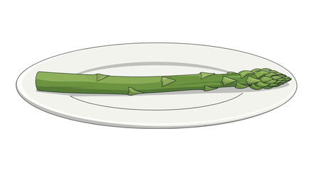 A single asparagus spear, green and fresh, rests on a white, oval plate against a white background