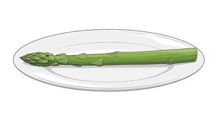 A single stalk of green asparagus, freshly prepared, resting on a plain, white, oval plate