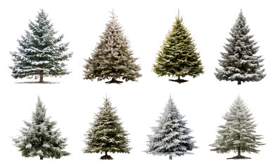 Obraz premium PNG Diverse snowy evergreen trees, element set on transparent background